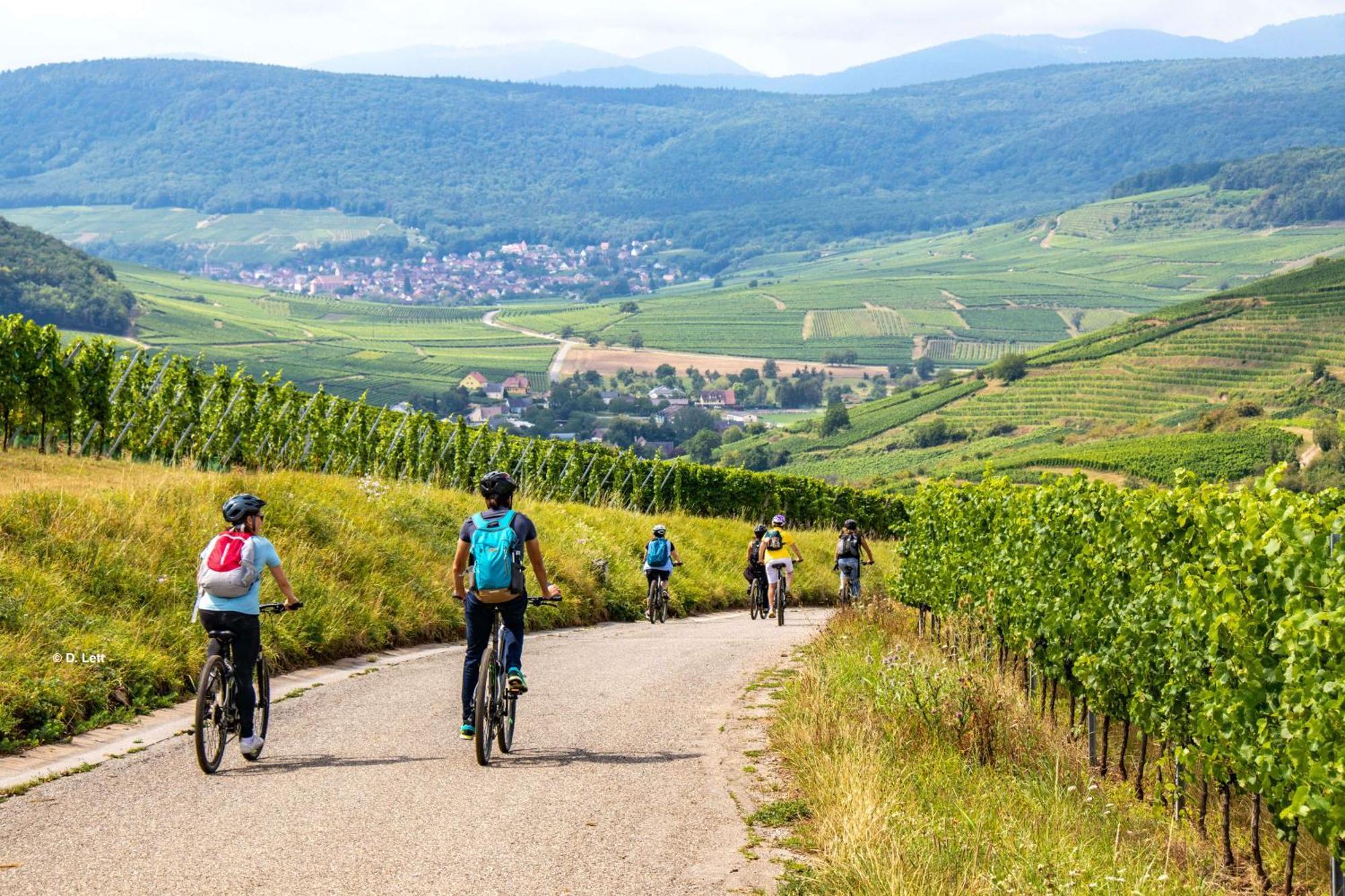 Domaine Boheme I Art De Vivre Διαμέρισμα Guebwiller Εξωτερικό φωτογραφία